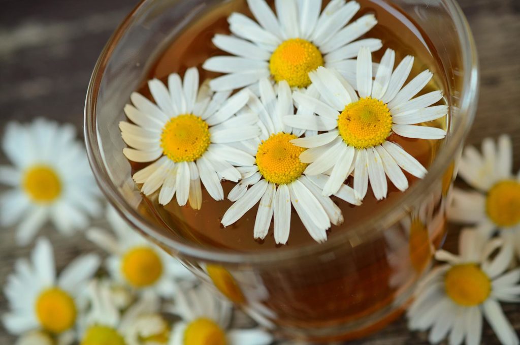 Chamomile for natural remedies