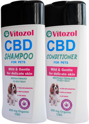 vitozol cbd shampoo conditioner